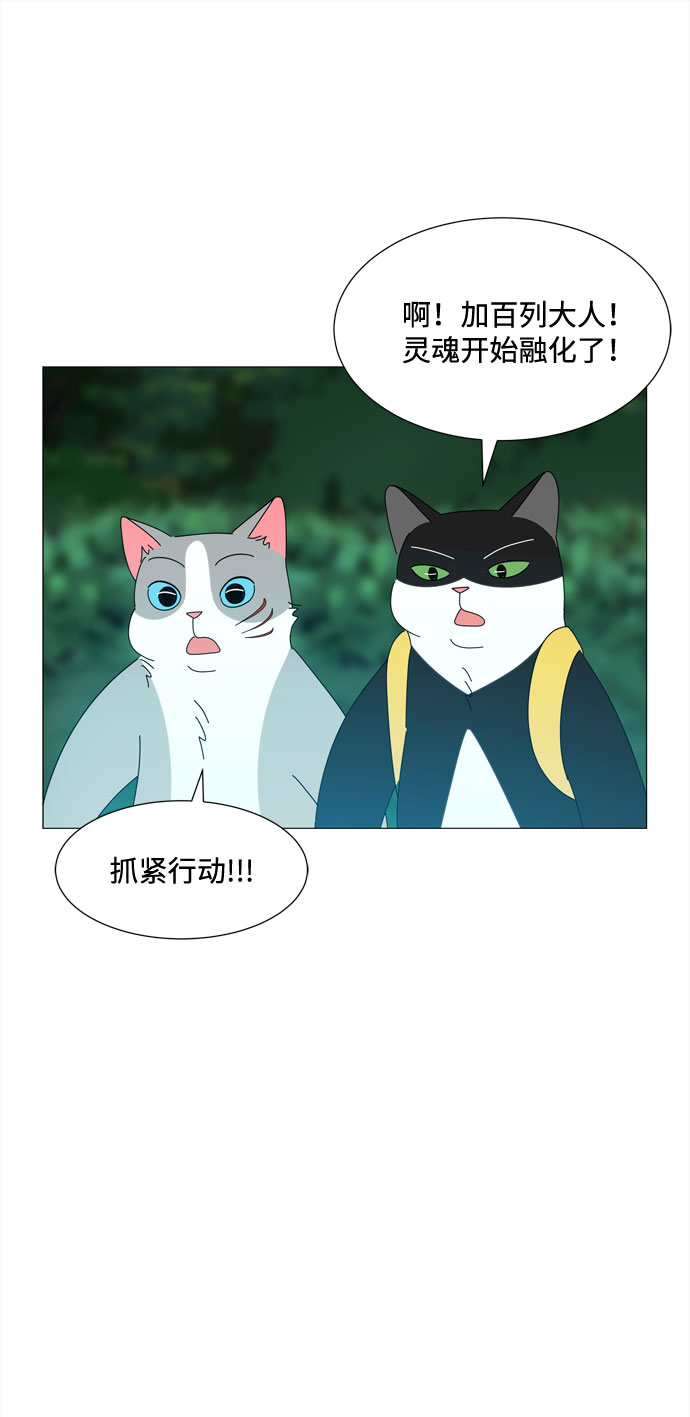 第37话 新的灵魂22
