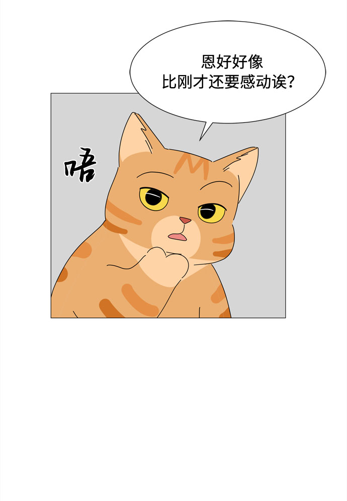 第54话 幸福却反常的生日（2）22