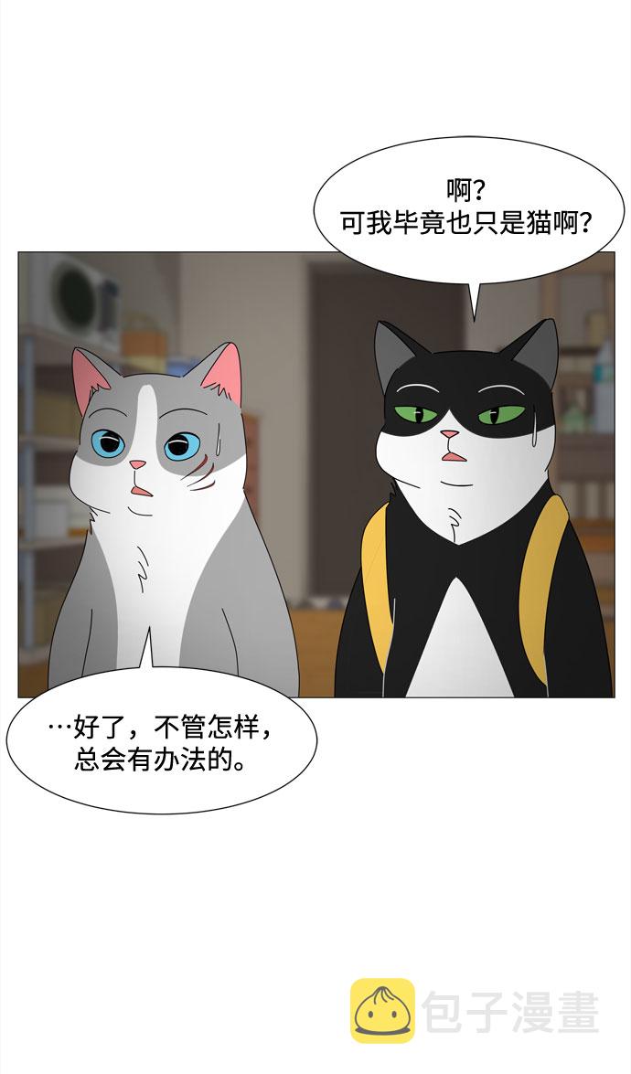 第37话 新的灵魂5