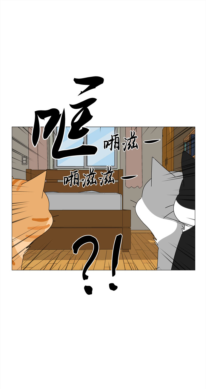 第58话 暗影62