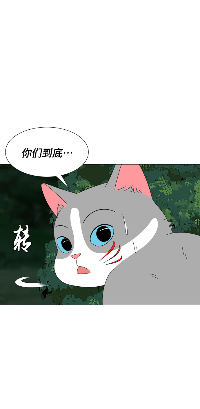 第12话 时机1
