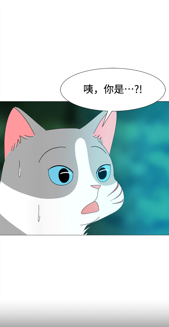 第38话 板栗饼1