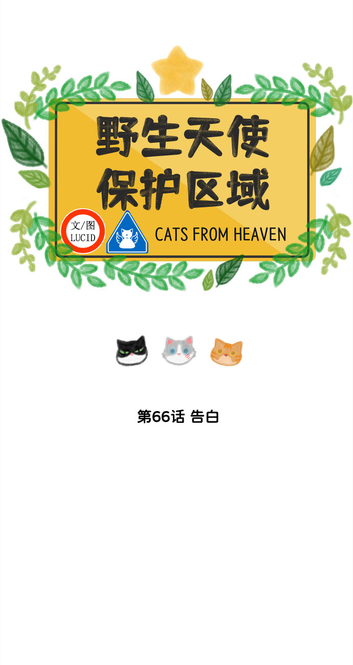 第66话 告白12