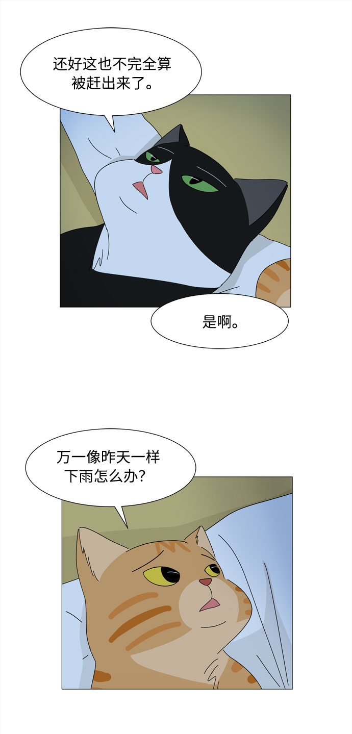 第4话 天使们的星星12