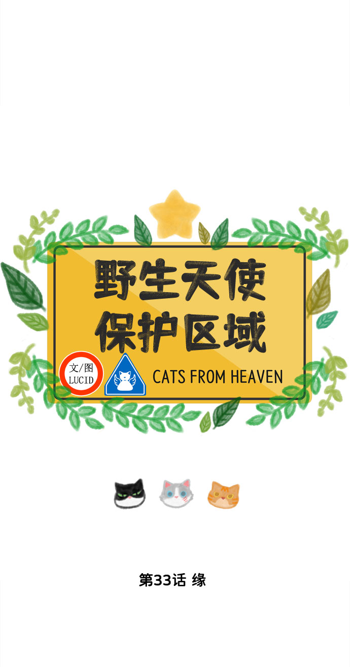 第33话 缘7