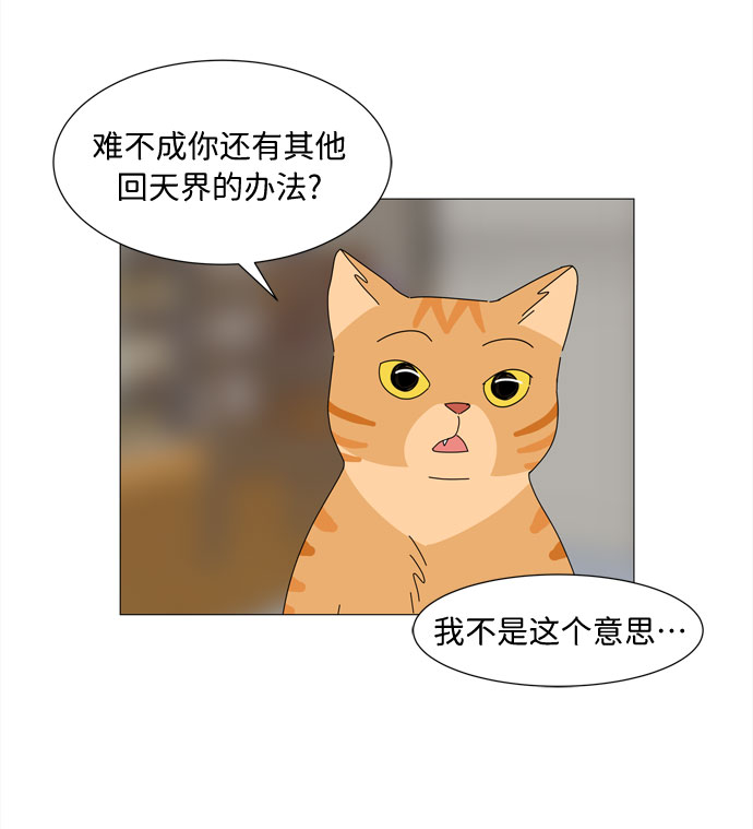 第2话 只要可爱都是小天使41