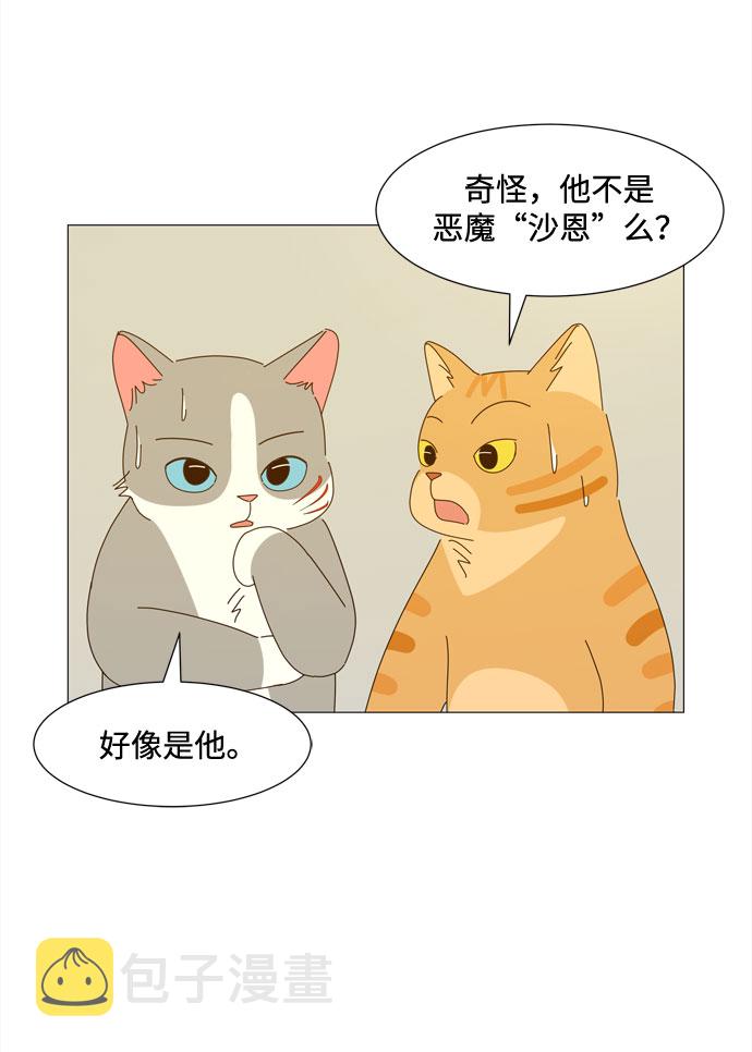 第29话 保护你17