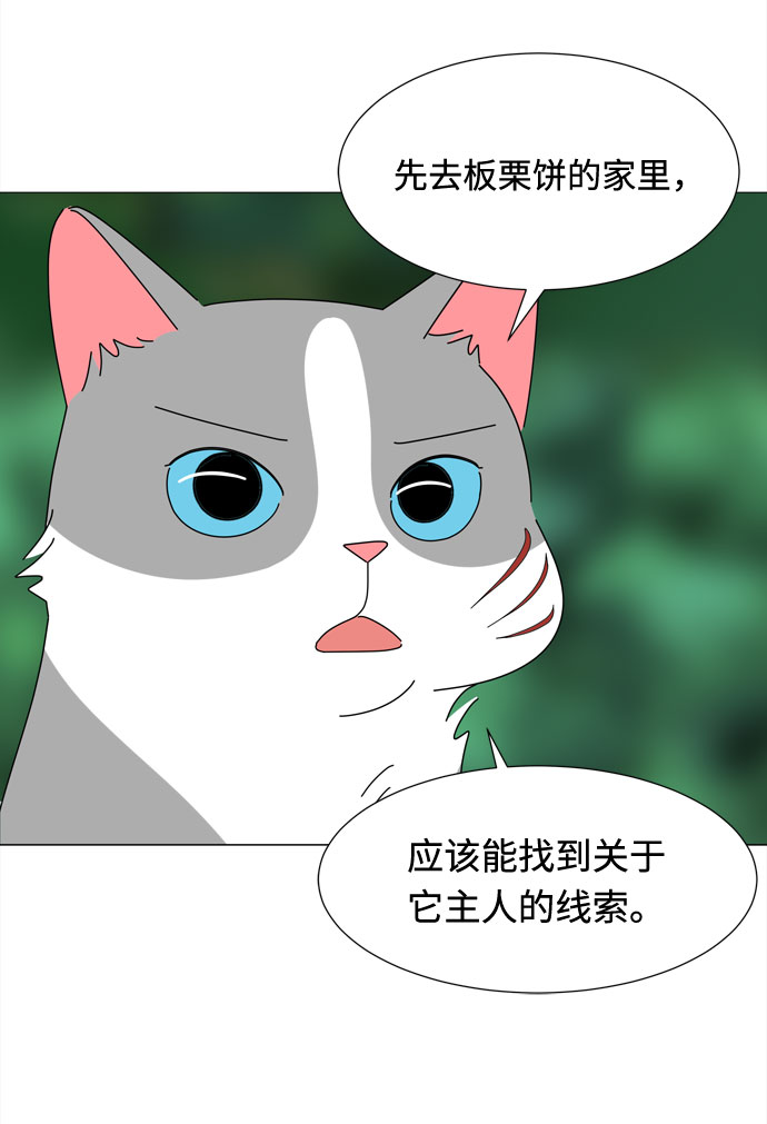 第38话 板栗饼66