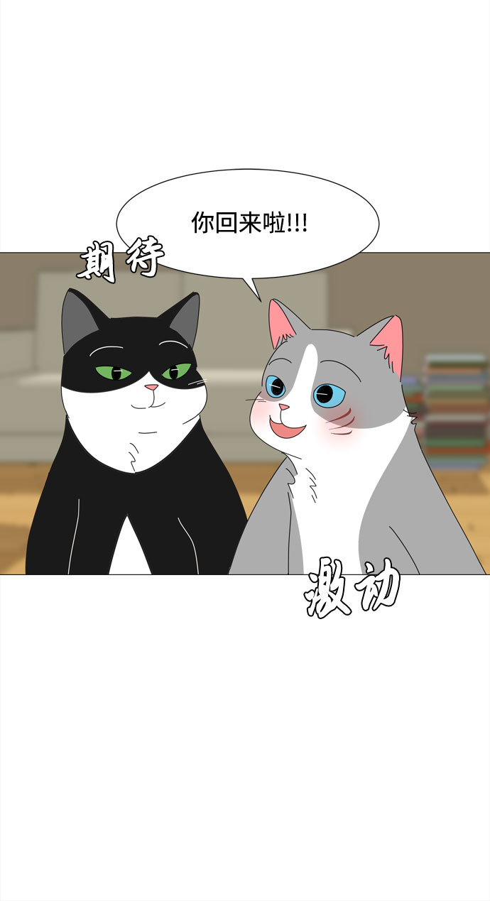第53话 幸福却反常的生日（1）65
