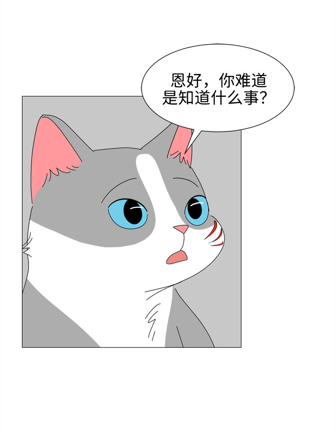 第27话 我们准备的早饭55