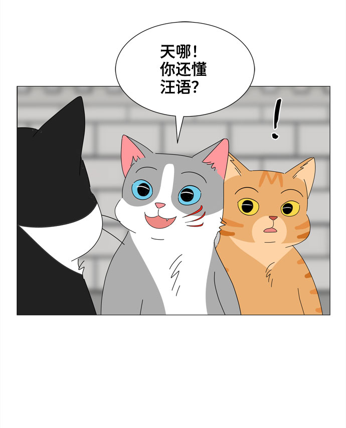 第16话 找到恩好（3）10