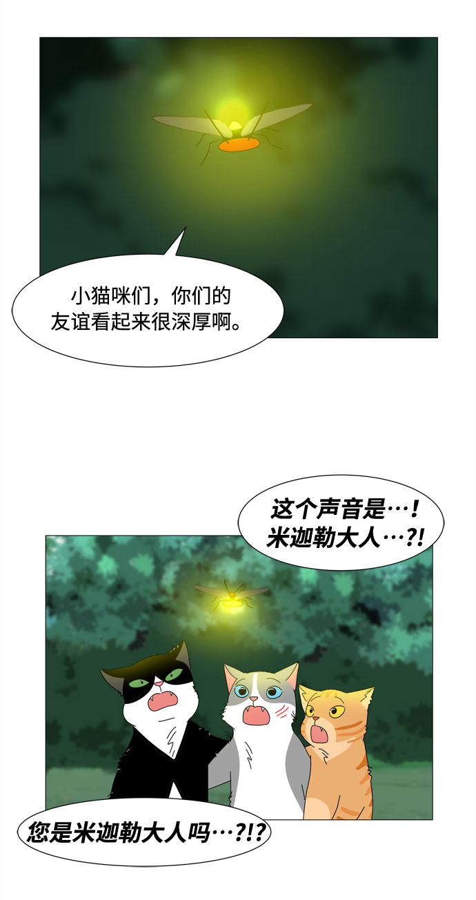 第66话 告白2