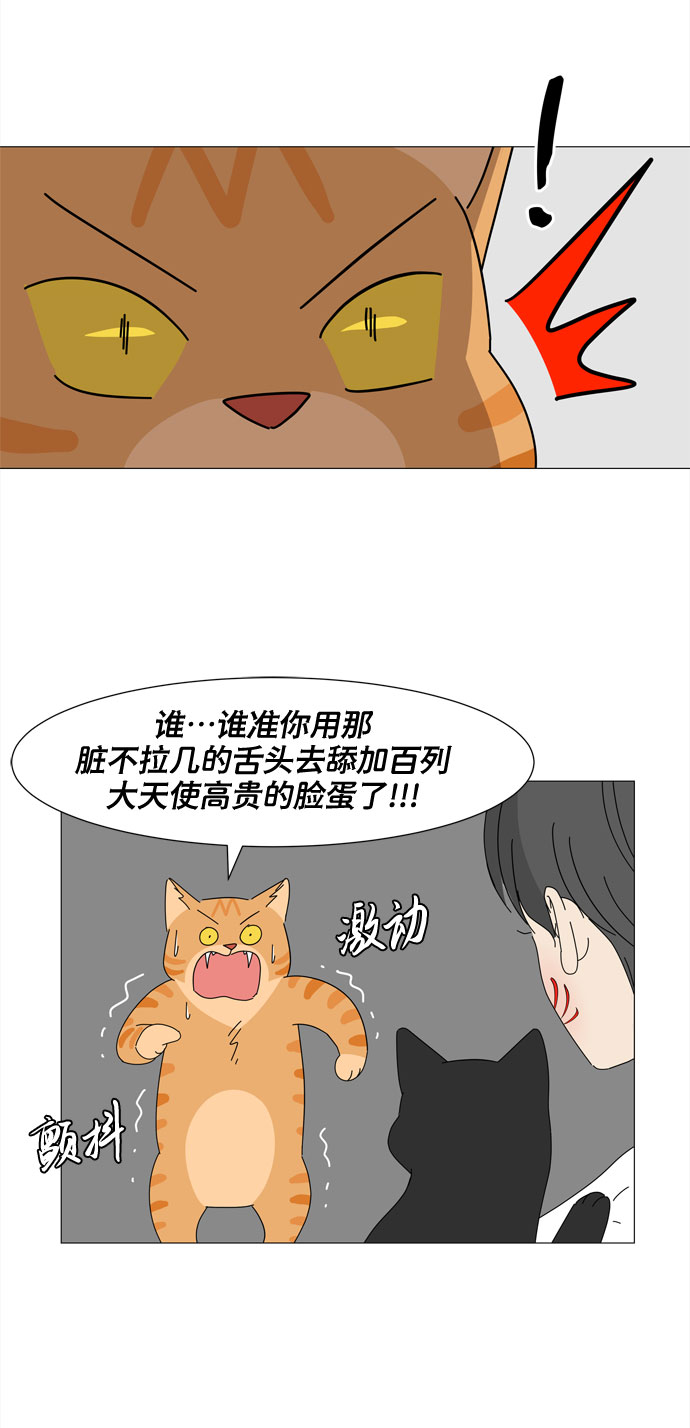 第4话 天使们的星星26