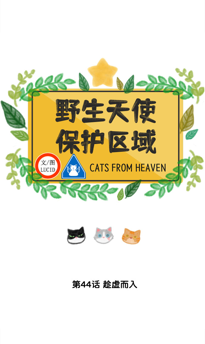 第44话 趁虚而入5