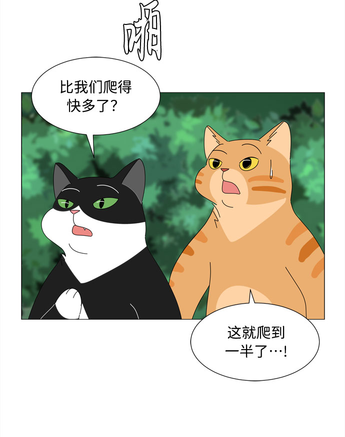 第21话 找到书包51