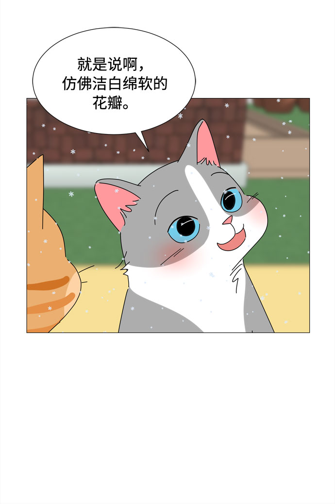 第58话 暗影30