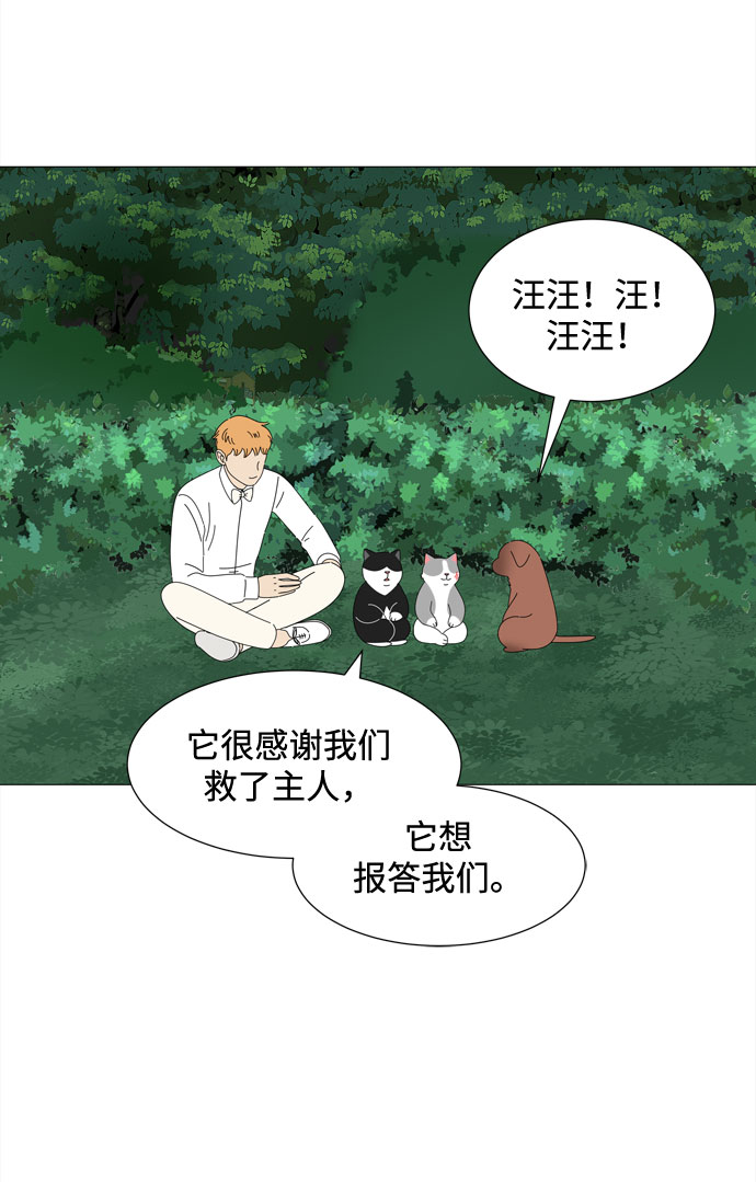 第38话 板栗饼52