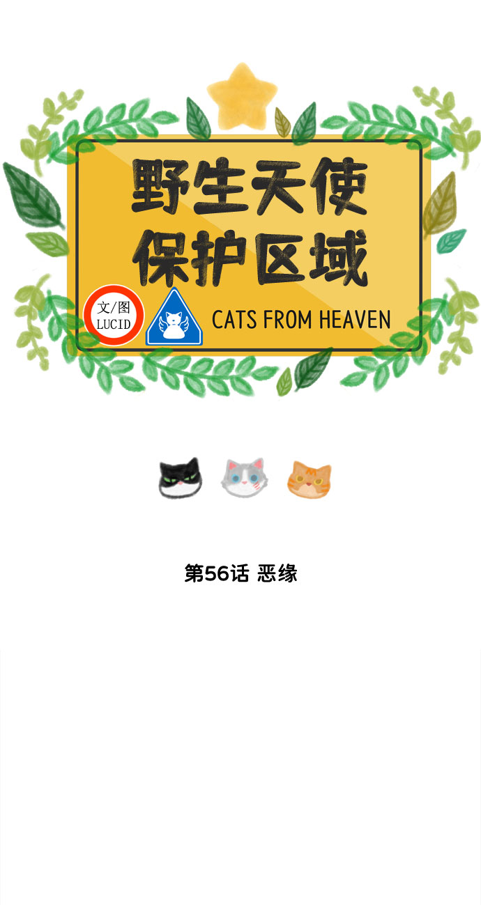 第56话 恶缘3
