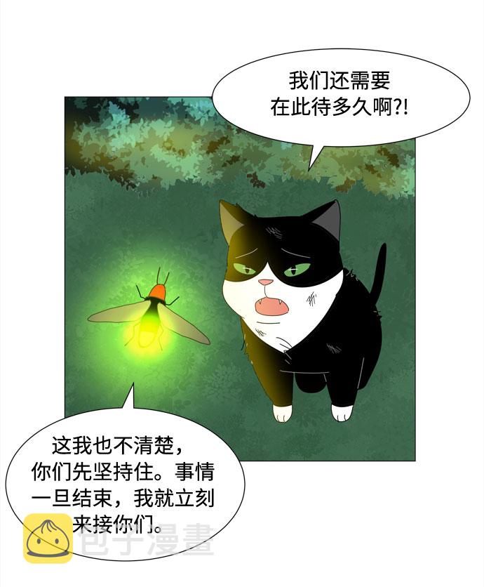 第66话 告白4