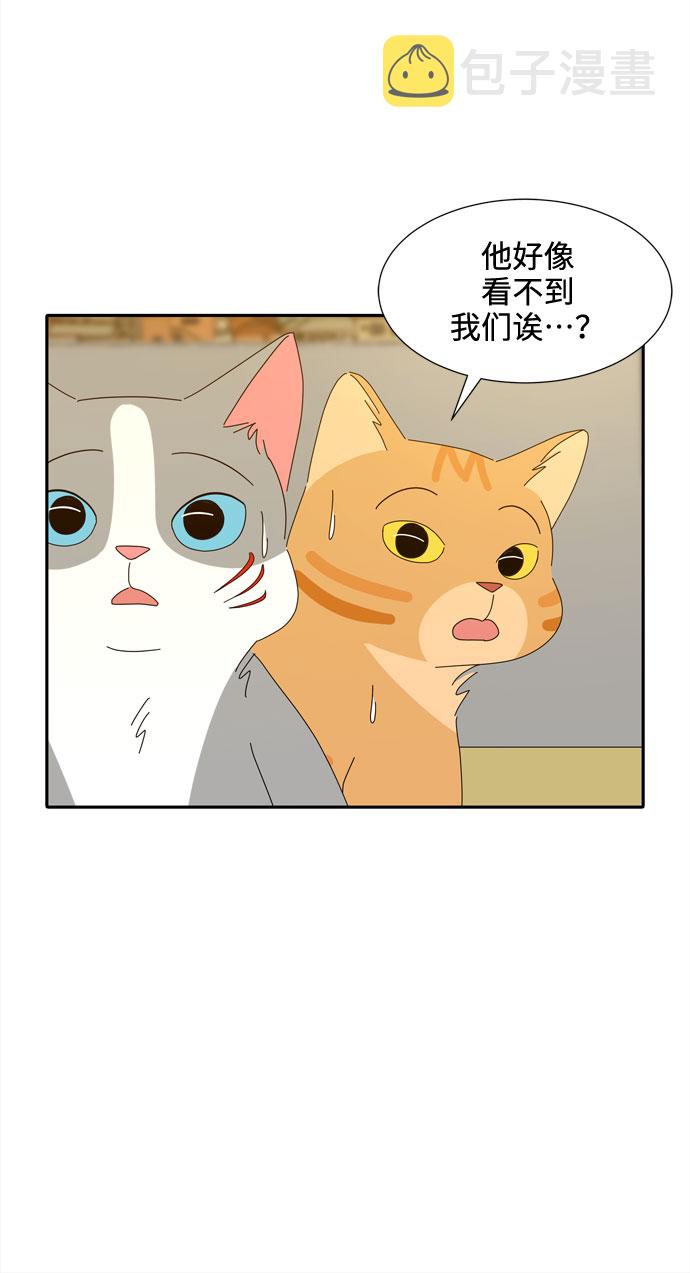 第29话 保护你12