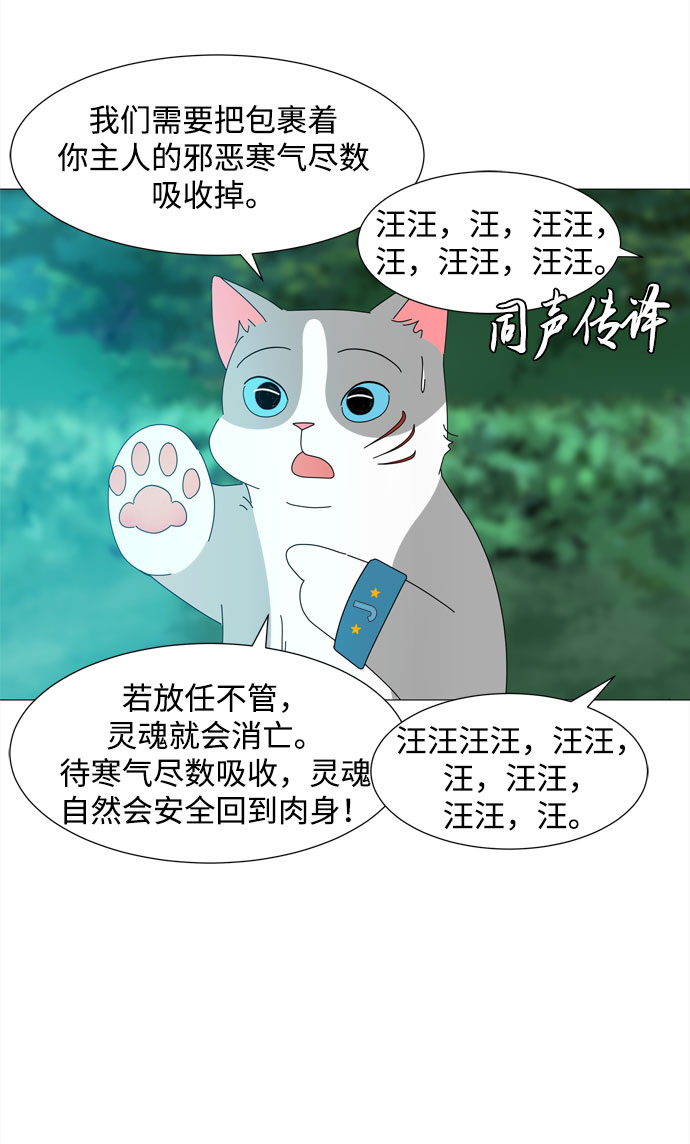 第38话 板栗饼30