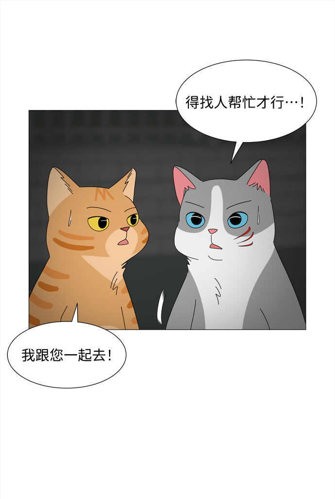 第27话 我们准备的早饭9