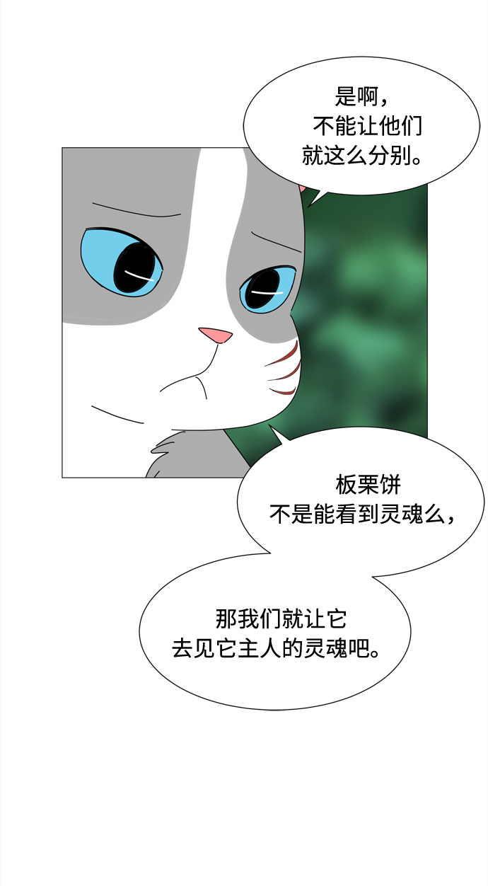 第38话 板栗饼65