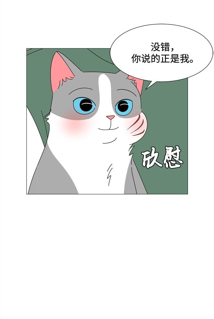 第47话 与天使、恶魔一起的修学旅行（1）35