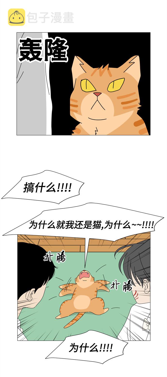 第5话 不规律的变身12