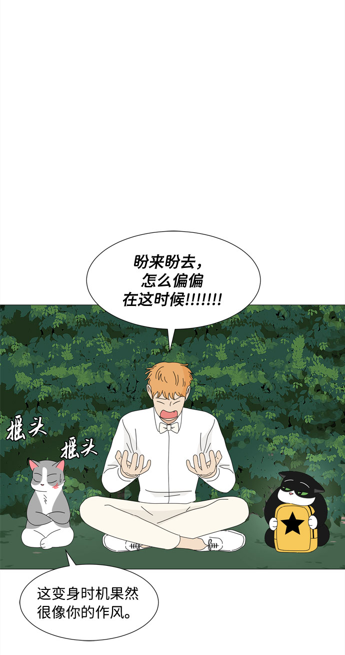 第12话 时机4