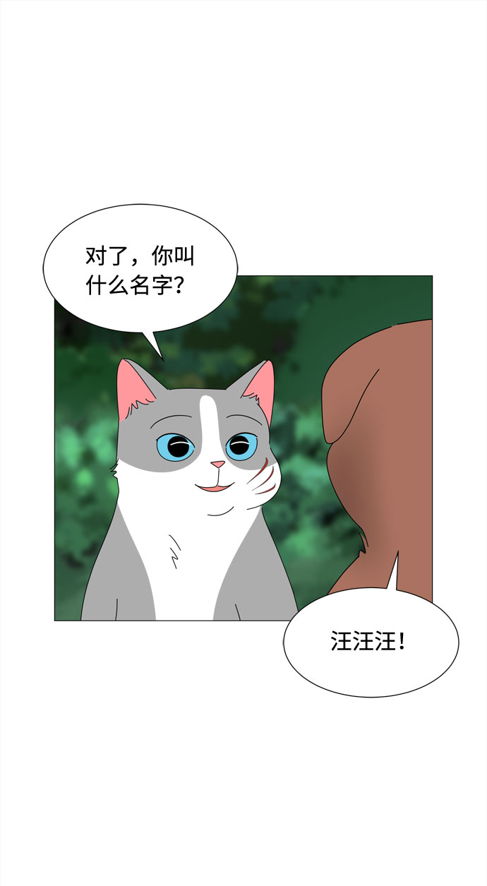 第38话 板栗饼55