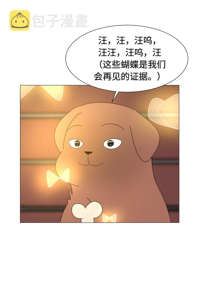 第71话 野生天使保护区域21