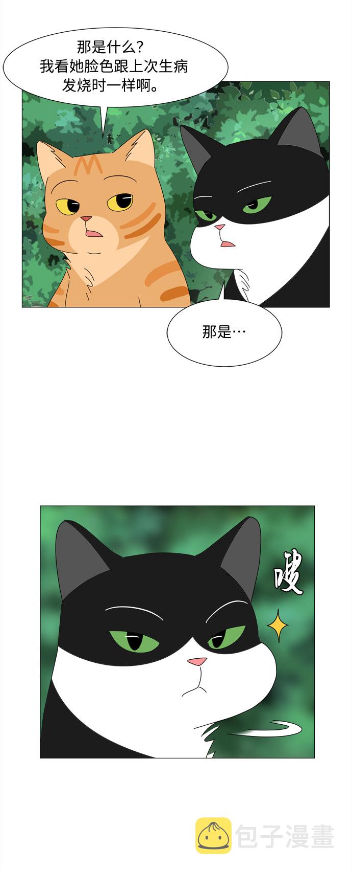 第21话 找到书包15