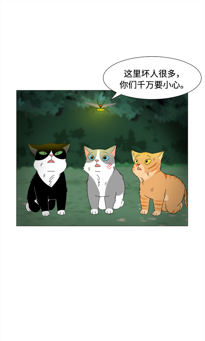 第66话 告白8