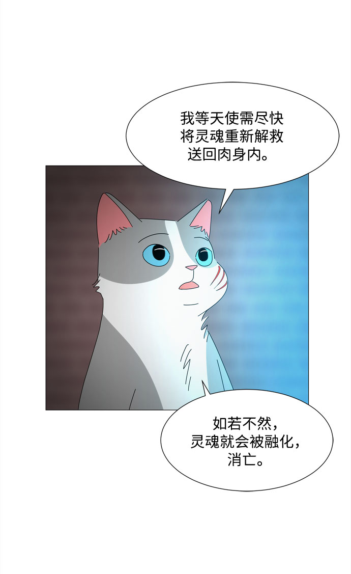 第26话 蓝色灵魂的秘密（2）17