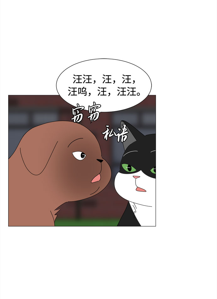 第41话 我的小乖乖（2）41