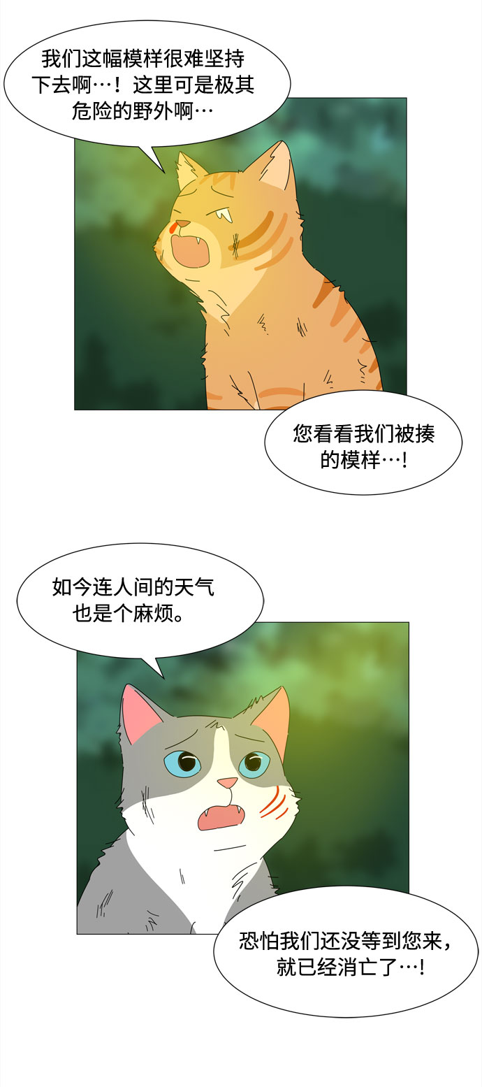 第66话 告白5