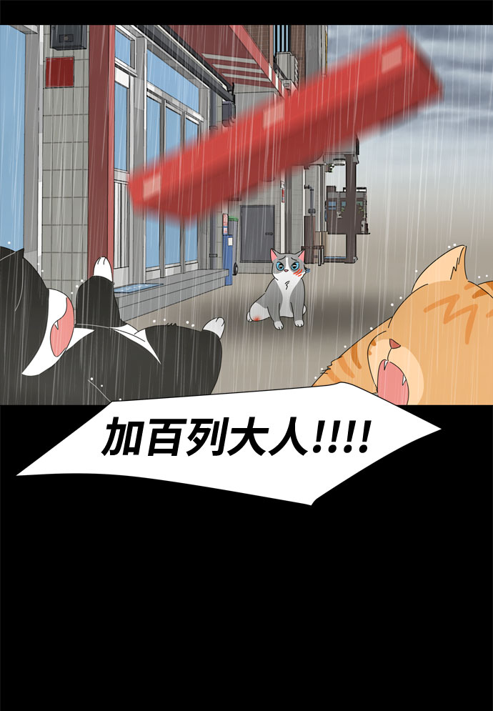 第68话 报答23