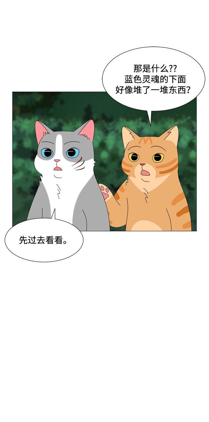 第37话 新的灵魂12