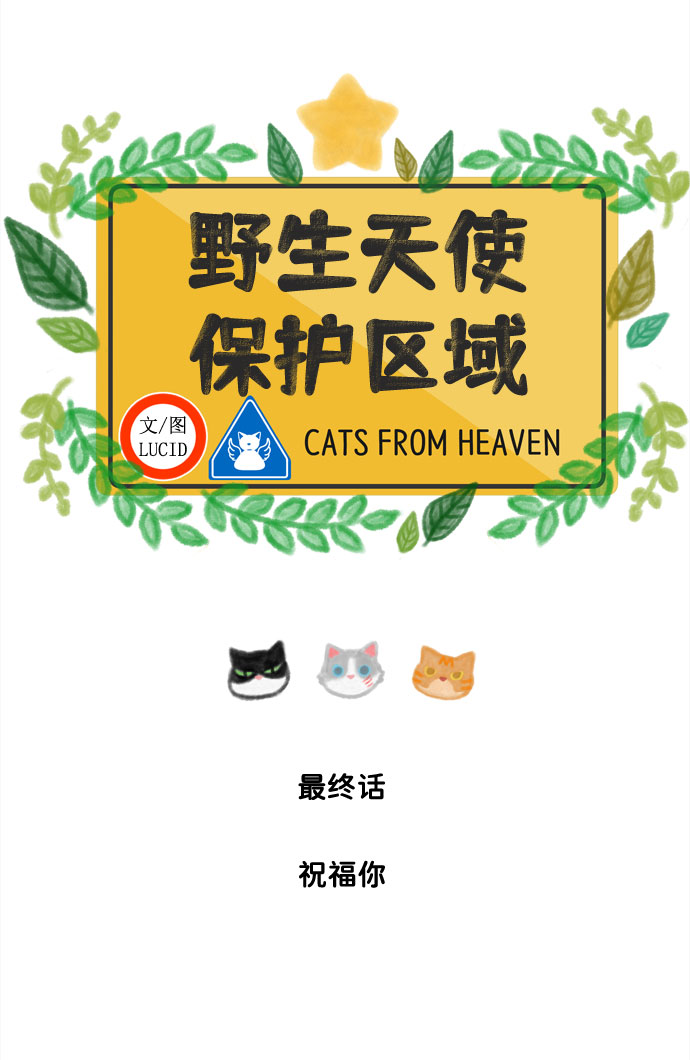 最终话 祝福你10