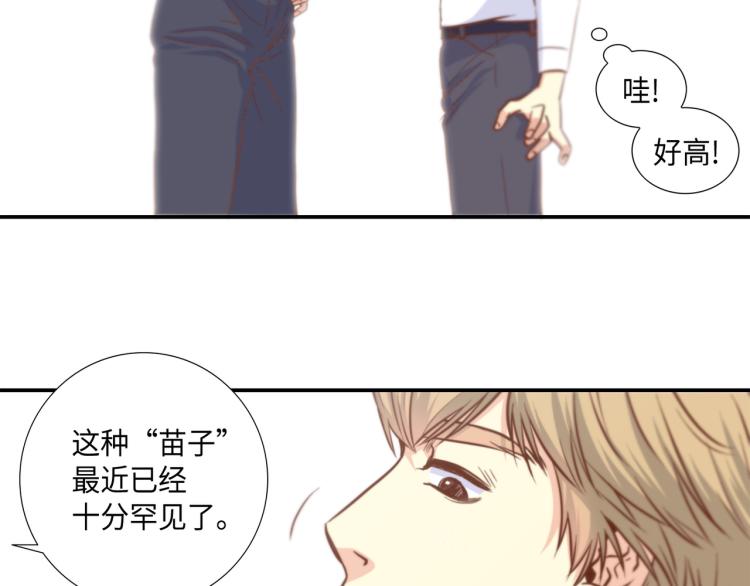 第3话 一见锺情63