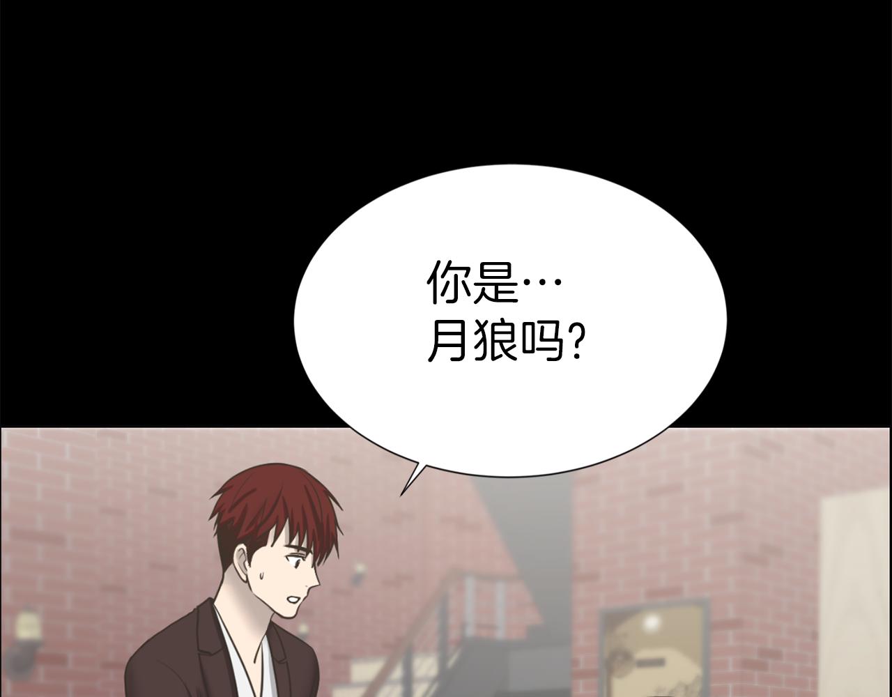 完结篇 梦想成真154