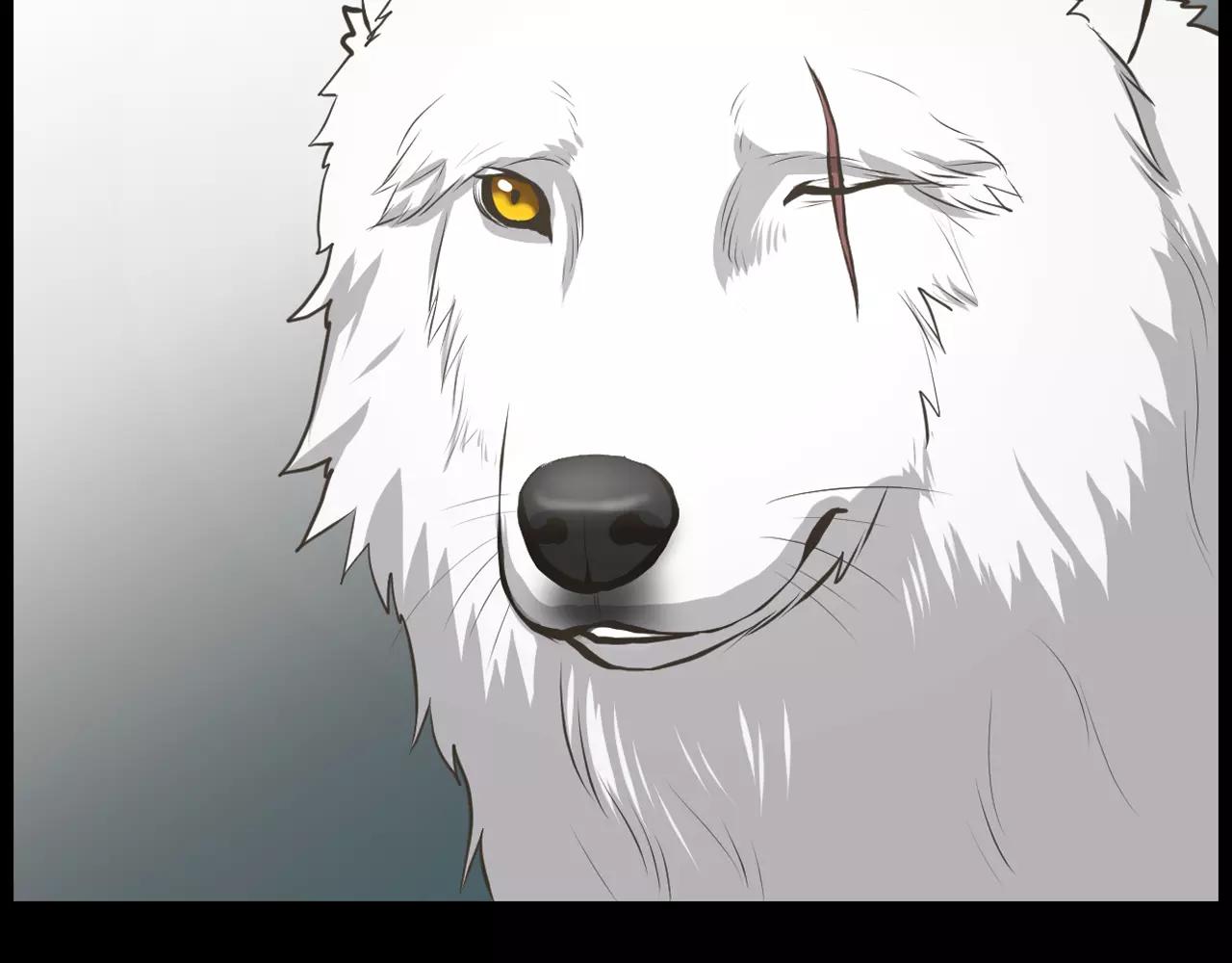 第10话 月狼的秘密38