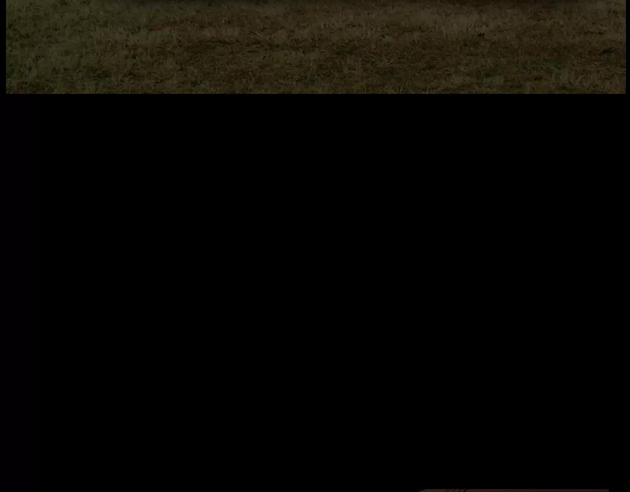 第10话 月狼的秘密162