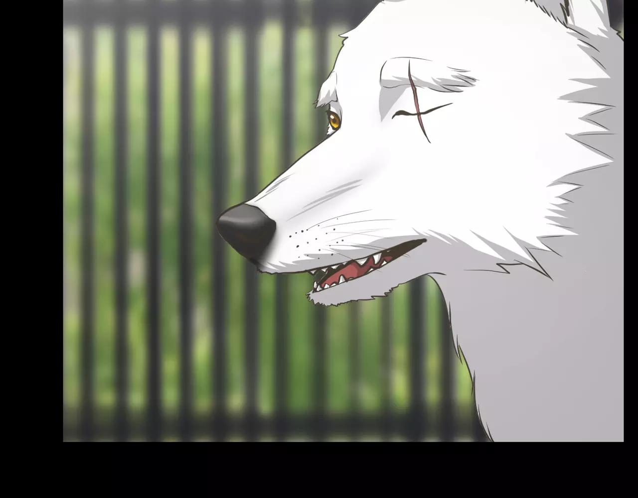第10话 月狼的秘密44