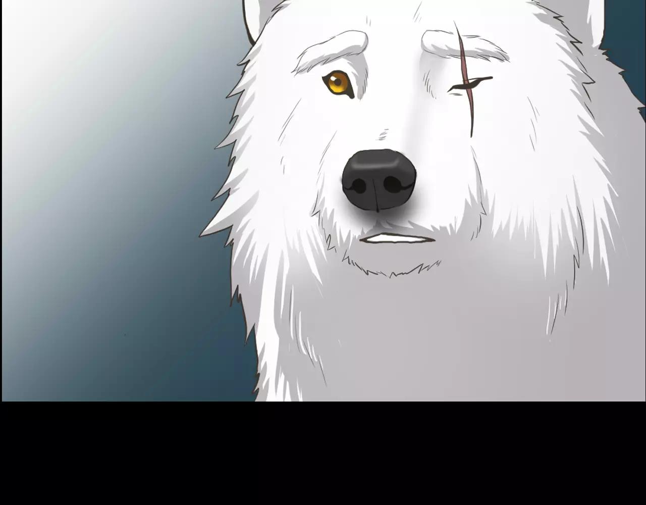 第10话 月狼的秘密75