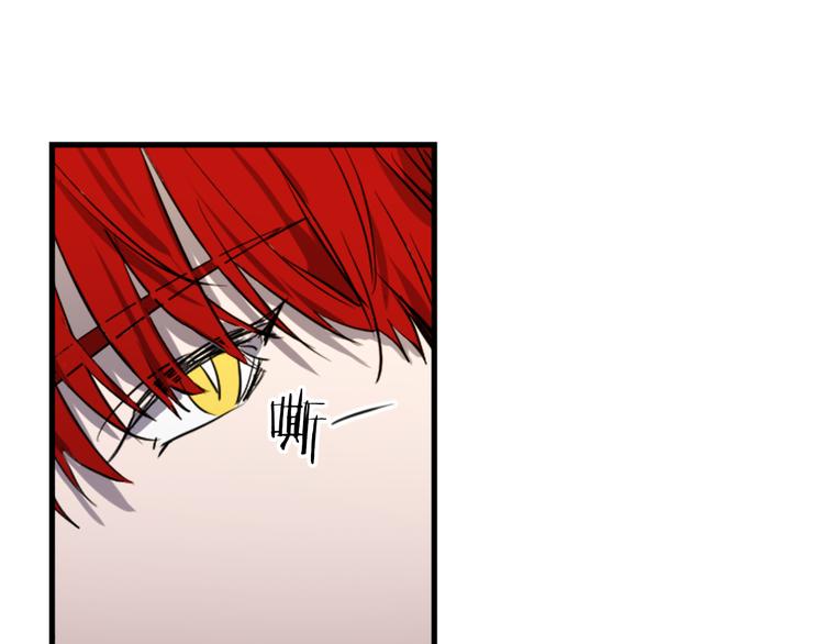 第20话 新婚之夜19