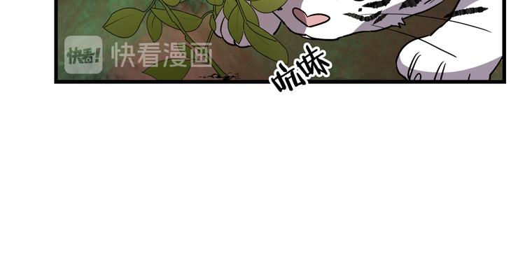 第27话 什麽是爱情13