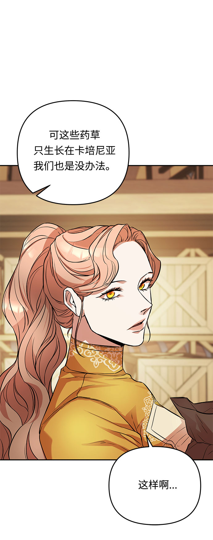 第35话 王妃的剑（1）50