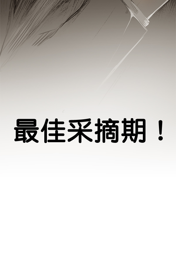 第55话111